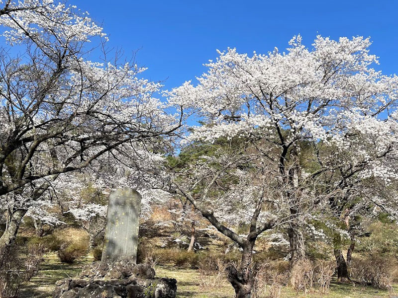 生保内公園