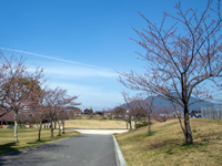 志井公園