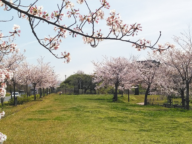 永犬丸中央公園