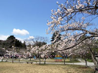 天神山公園