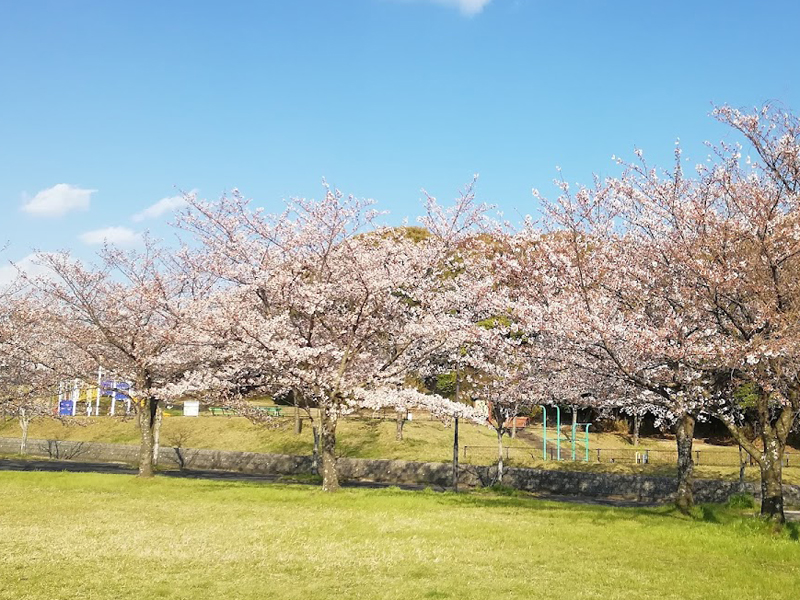 白岩池公園