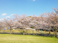 白岩池公園